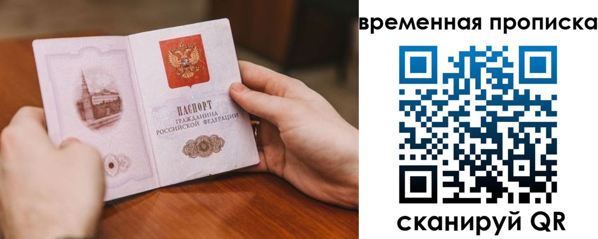 прописка законно в Химках